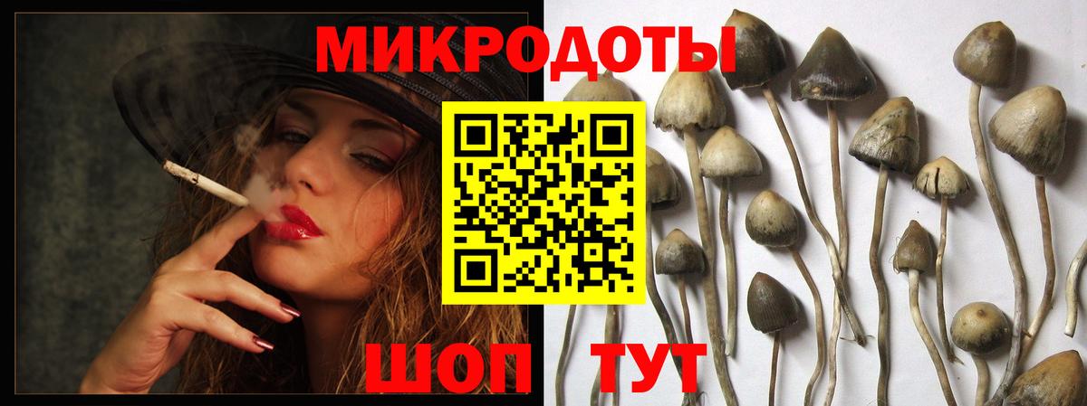 Псилоцибиновые грибы Cubensis  Вход с VPN  Шахты 